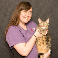 Sara Wilson holding a cat